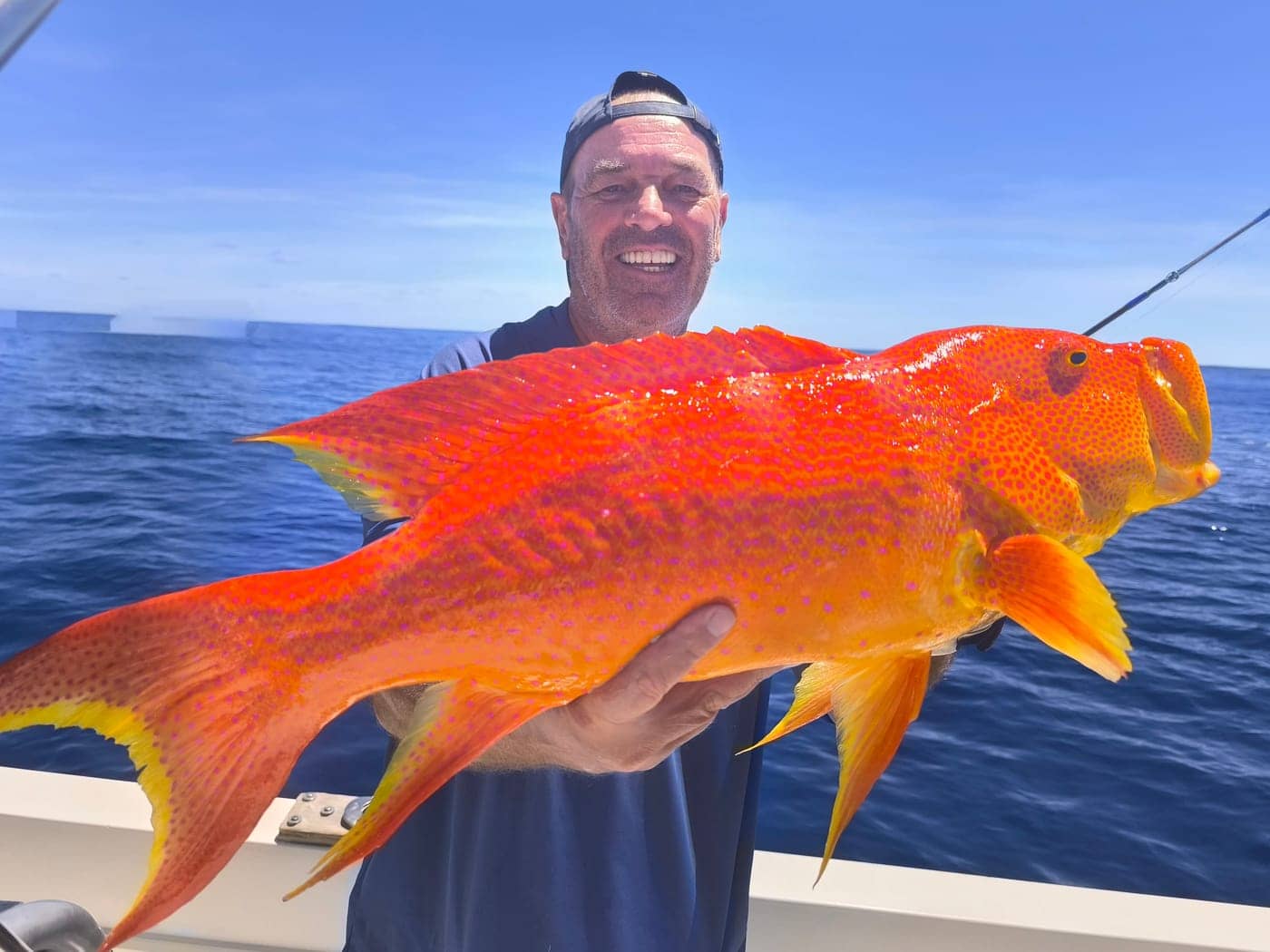 Prise de vieille rouge - Tempo Fishing Club