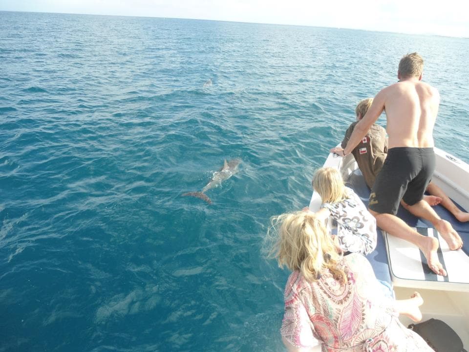 Île Plate / Îlot Gabriel / Île d'Ambre