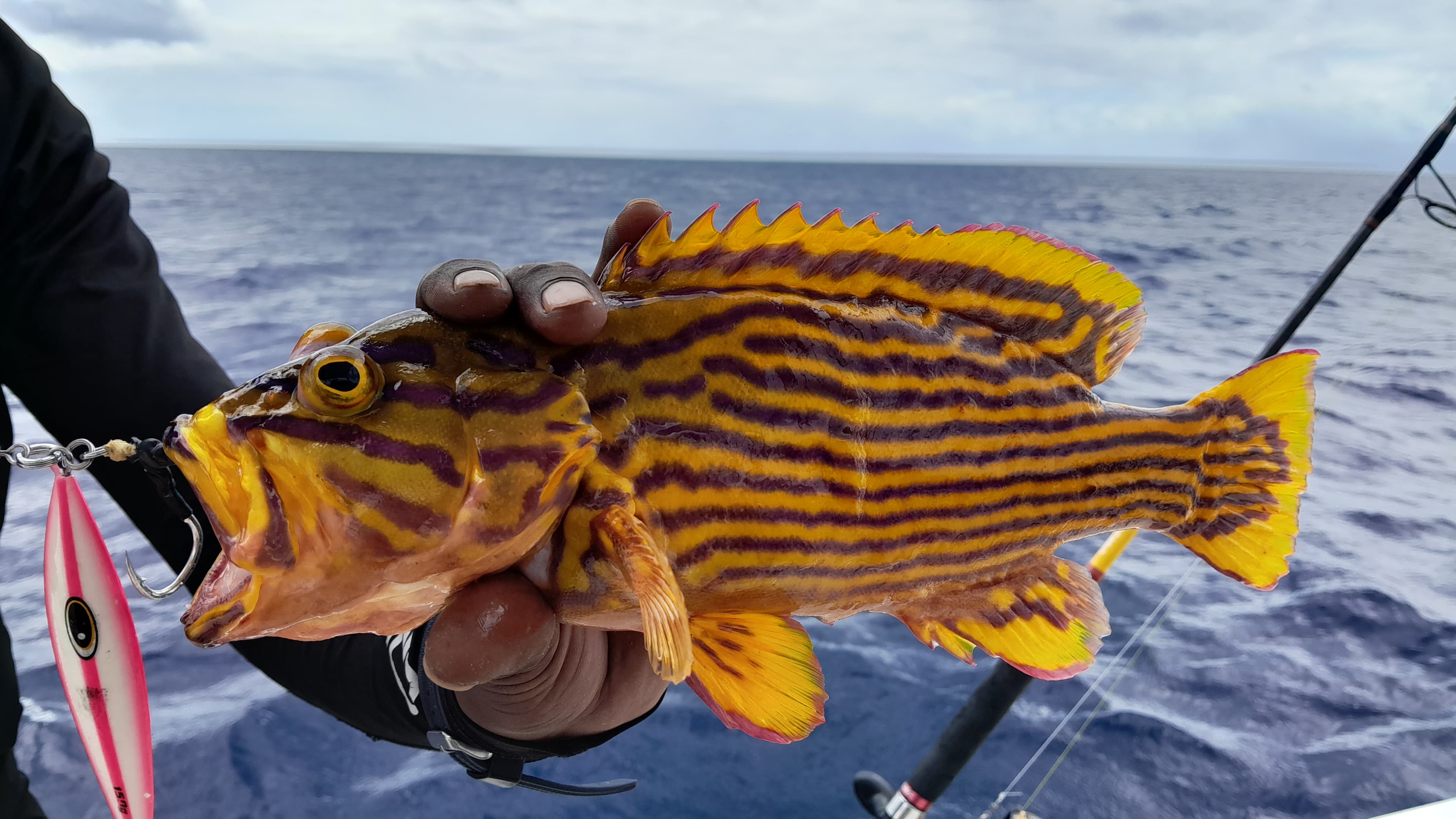 Session de pêche sportive à Maurice - Tempo Fishing Club 13